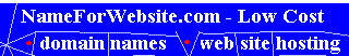Domain names and web hosting