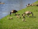 Filename=DSC00276.JPG
Filesize=9633KiB
Dimensions=4896x3672
Date added=Apr 23, 2020 DSC00276.JPG