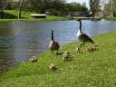 DSC00279.JPG
