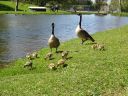 DSC00280.JPG