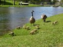 DSC00281.JPG