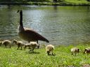 DSC00285.JPG