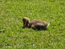 DSC00296.JPG