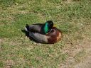 DSC00304.JPG