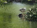 DSC00305.JPG