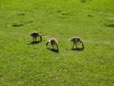 DSC00307.JPG
