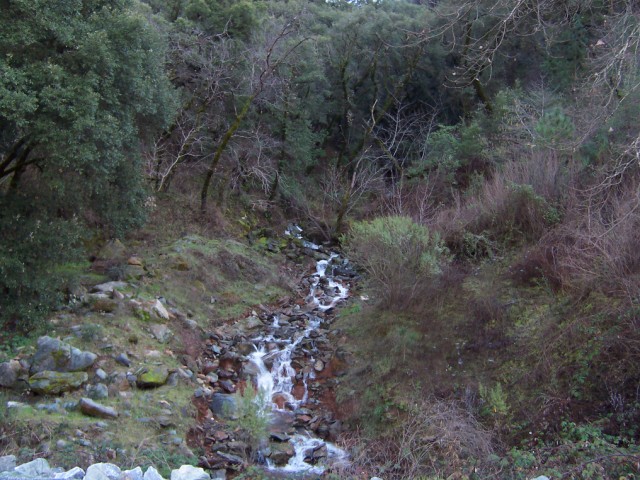 100_0916.jpg