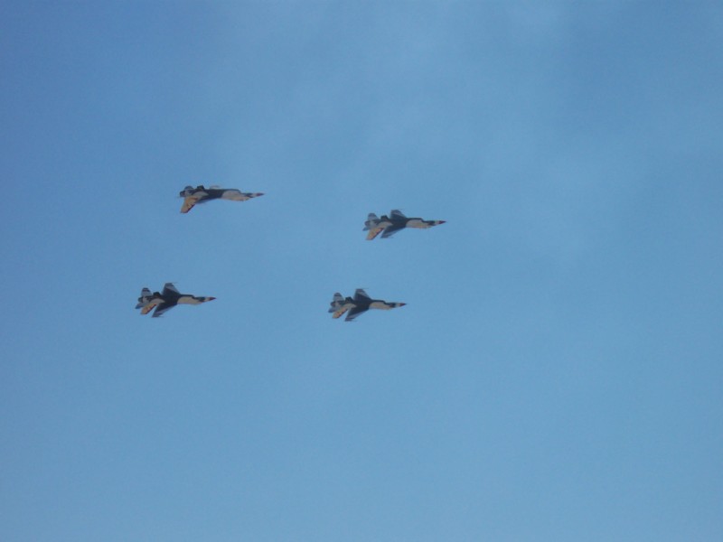 100_1230.jpg