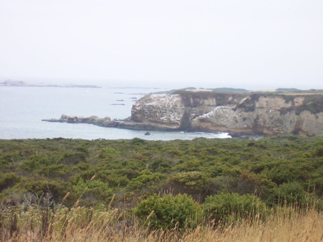 100_1392.jpg