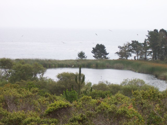 100_1396.jpg