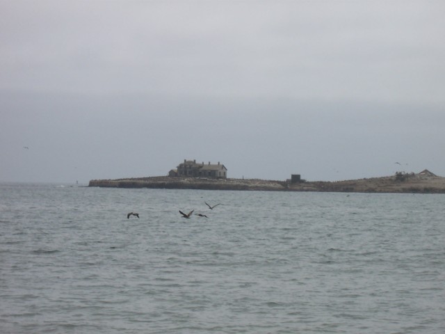 100_1412.jpg