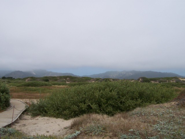 100_1427.jpg