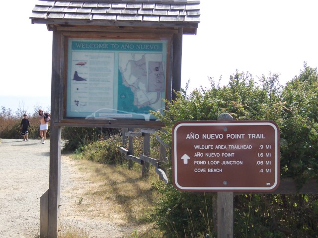 100_1435.jpg