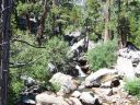100_4065.jpg