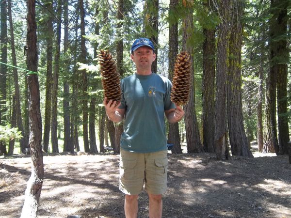 Mark with Large Sugar Pine Cones
Keywords: Mark Sugar Pine Cones French Meadows