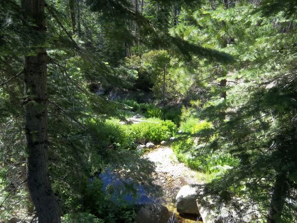 Keywords: French Meadows