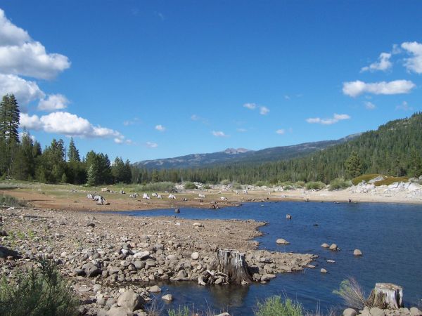 Keywords: French Meadows