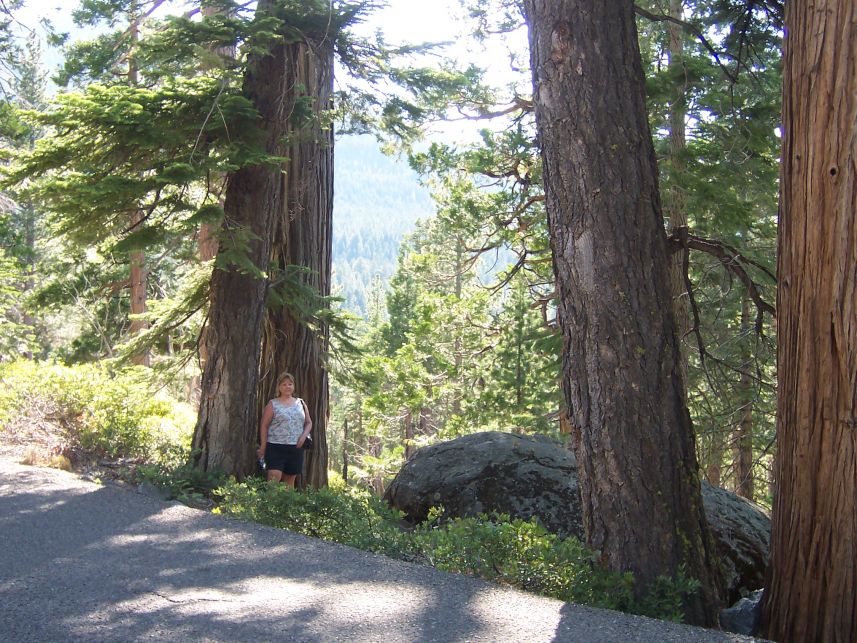 Keywords: Lake Tahoe D L Bliss Margaret