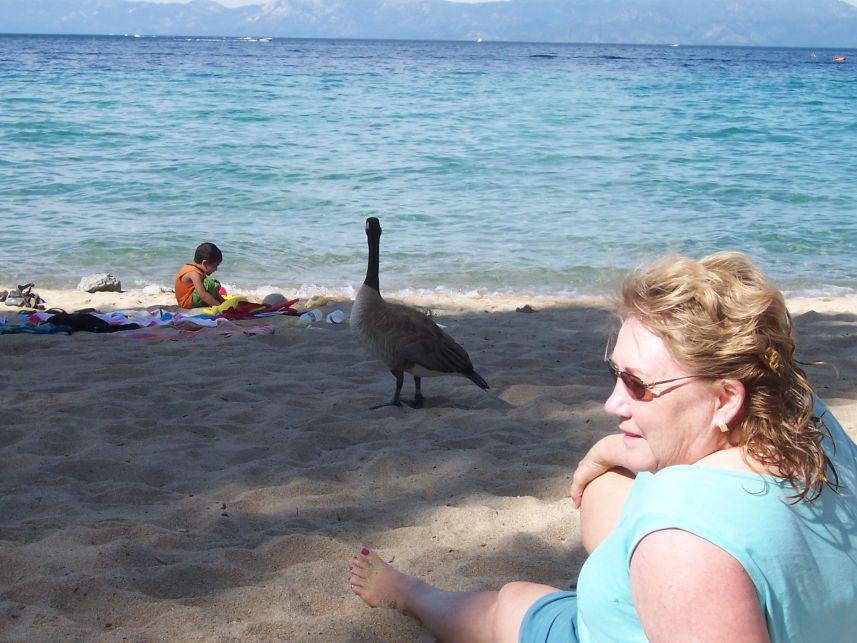 Keywords: Lake Tahoe Sugar Pine Margaret Canadian Geese