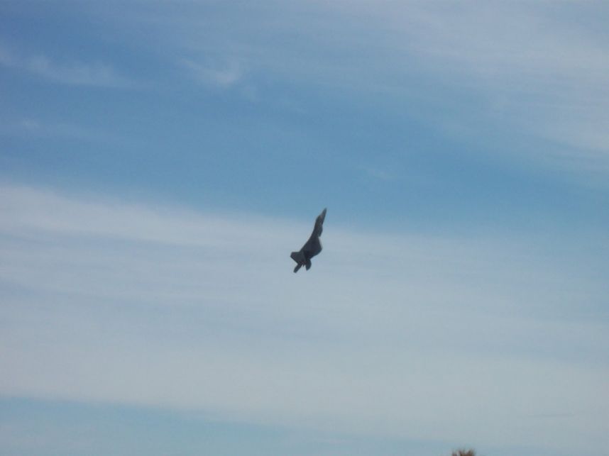 100_2031.jpg