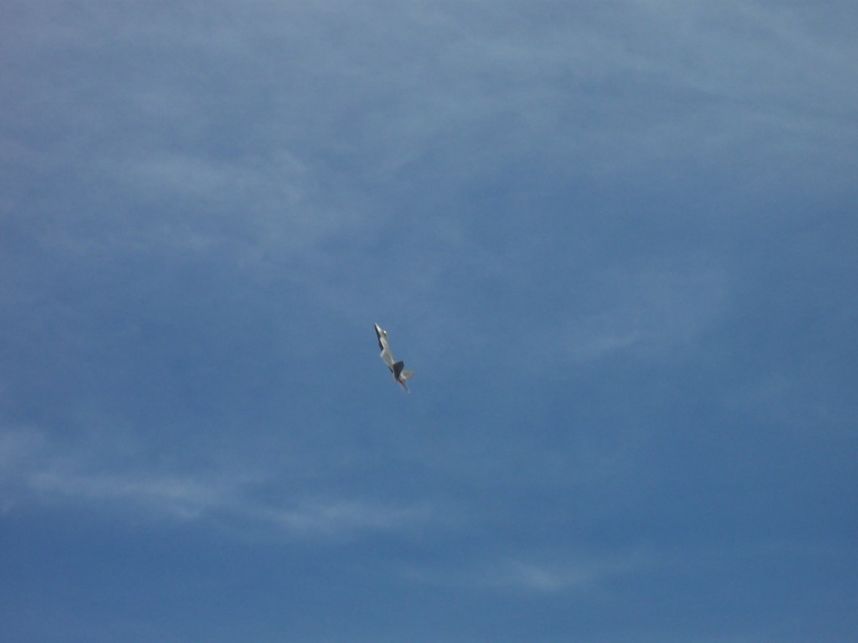 100_2038.jpg