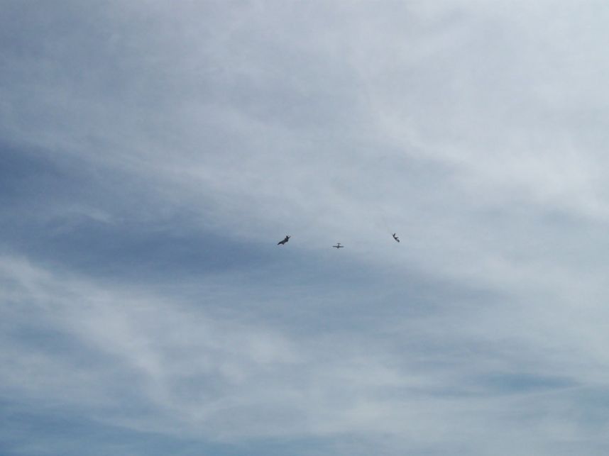 100_2064.jpg