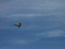 100_2049.jpg