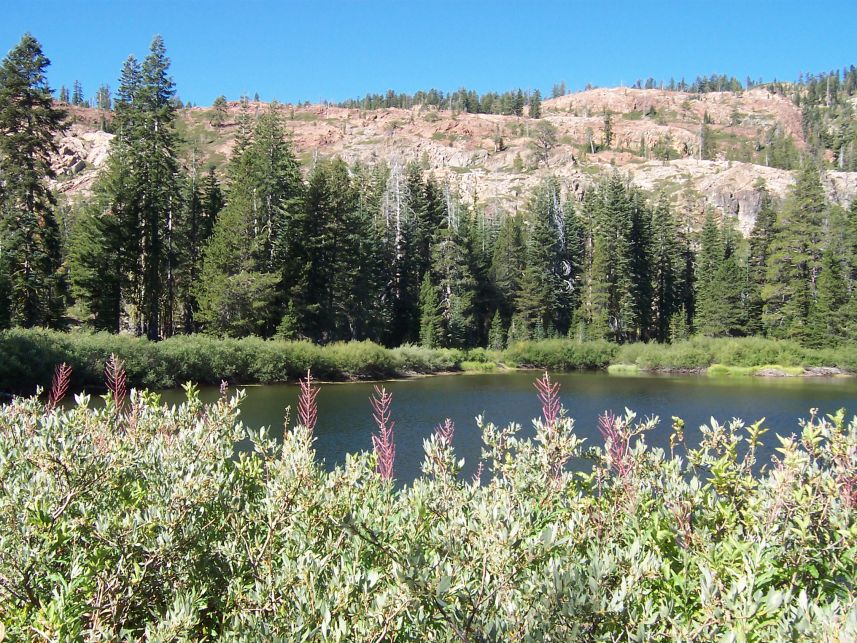 Horse Lake 3
Keywords: Horse Lake