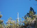 100_3275.jpg