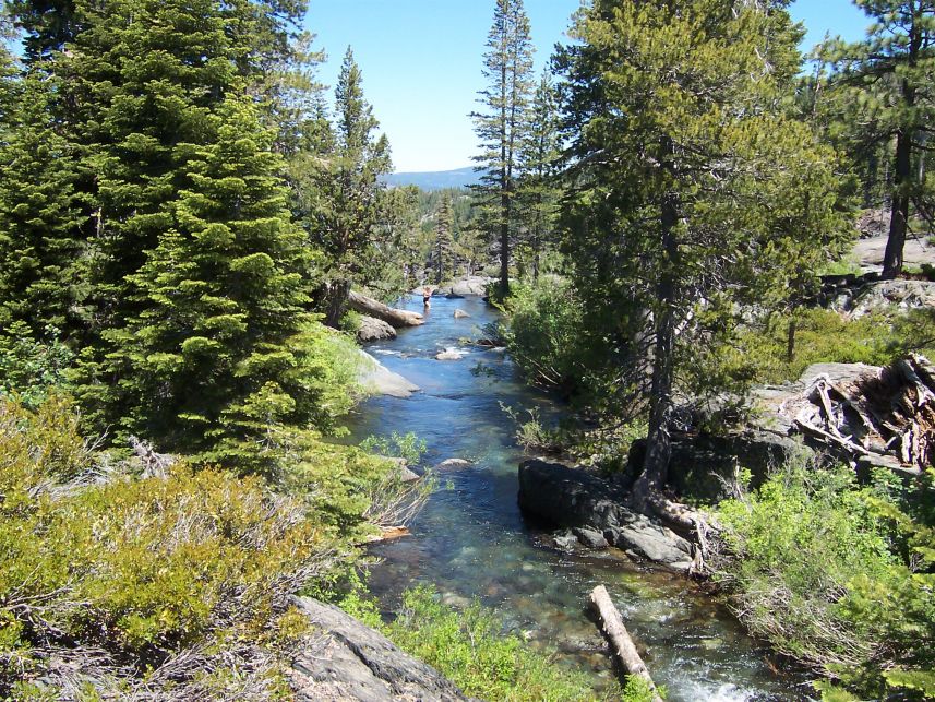 Top of Frazier Falls
Keywords: Frazier Falls