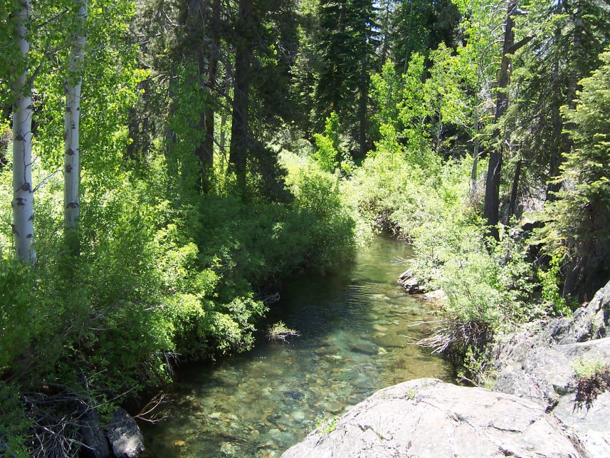 100_3729.jpg