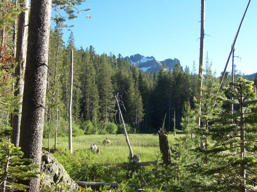 100_3778.jpg