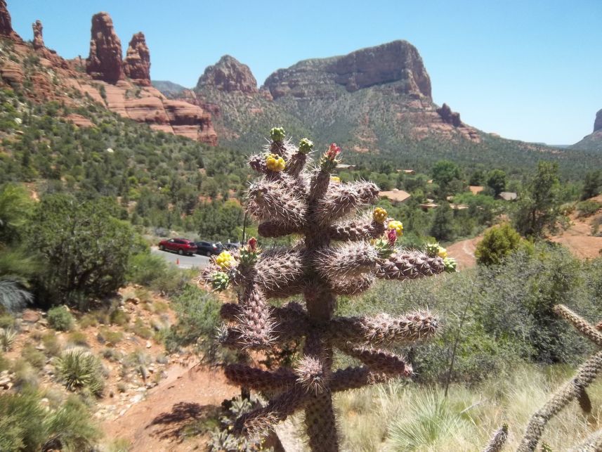 Keywords: Sedona AZ