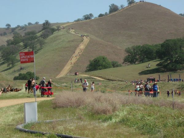 Keywords: Tough Mudder Patterson Diable Grande