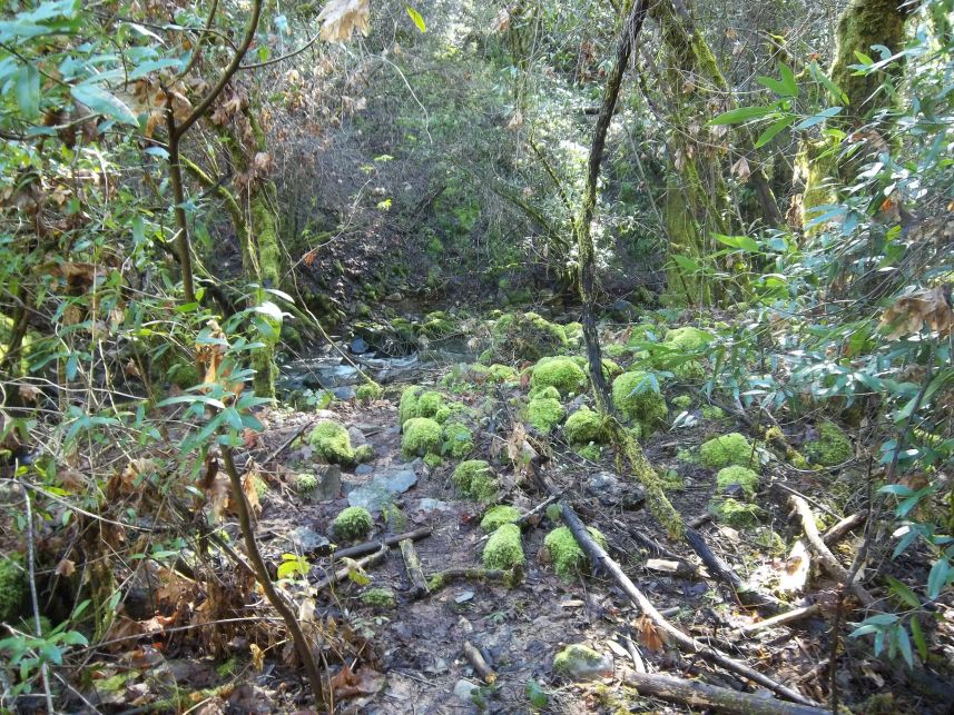Keywords: Wendell T. Robie Trail