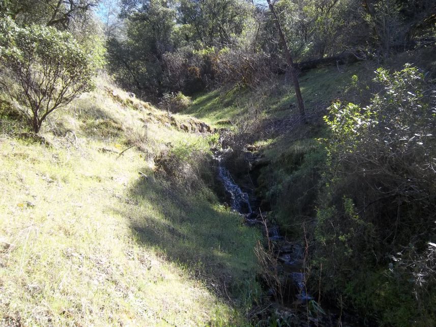 Keywords: Wendell T. Robie Trail