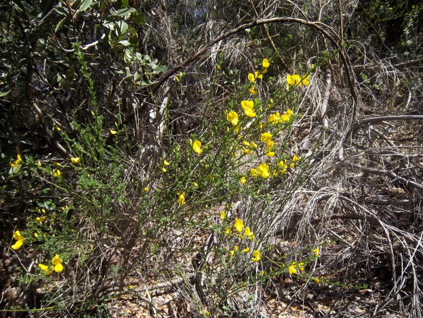 Keywords: Wendell T. Robie Trail
