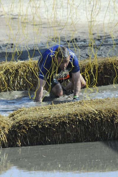Keywords: Tough Muuder Vail Lake Resort Temecula Mark Electroshock Therapy