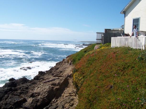 Behind Pigeon Point Lighthouse
This picture is taken next to Pigeon Point Lighthouse.
Keywords: Pigeon Point Lighthouse ocean